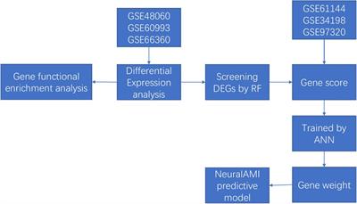 Construction of Novel Gene Signature-Based Predictive Model for the Diagnosis of Acute Myocardial Infarction by Combining Random Forest With Artificial Neural Network